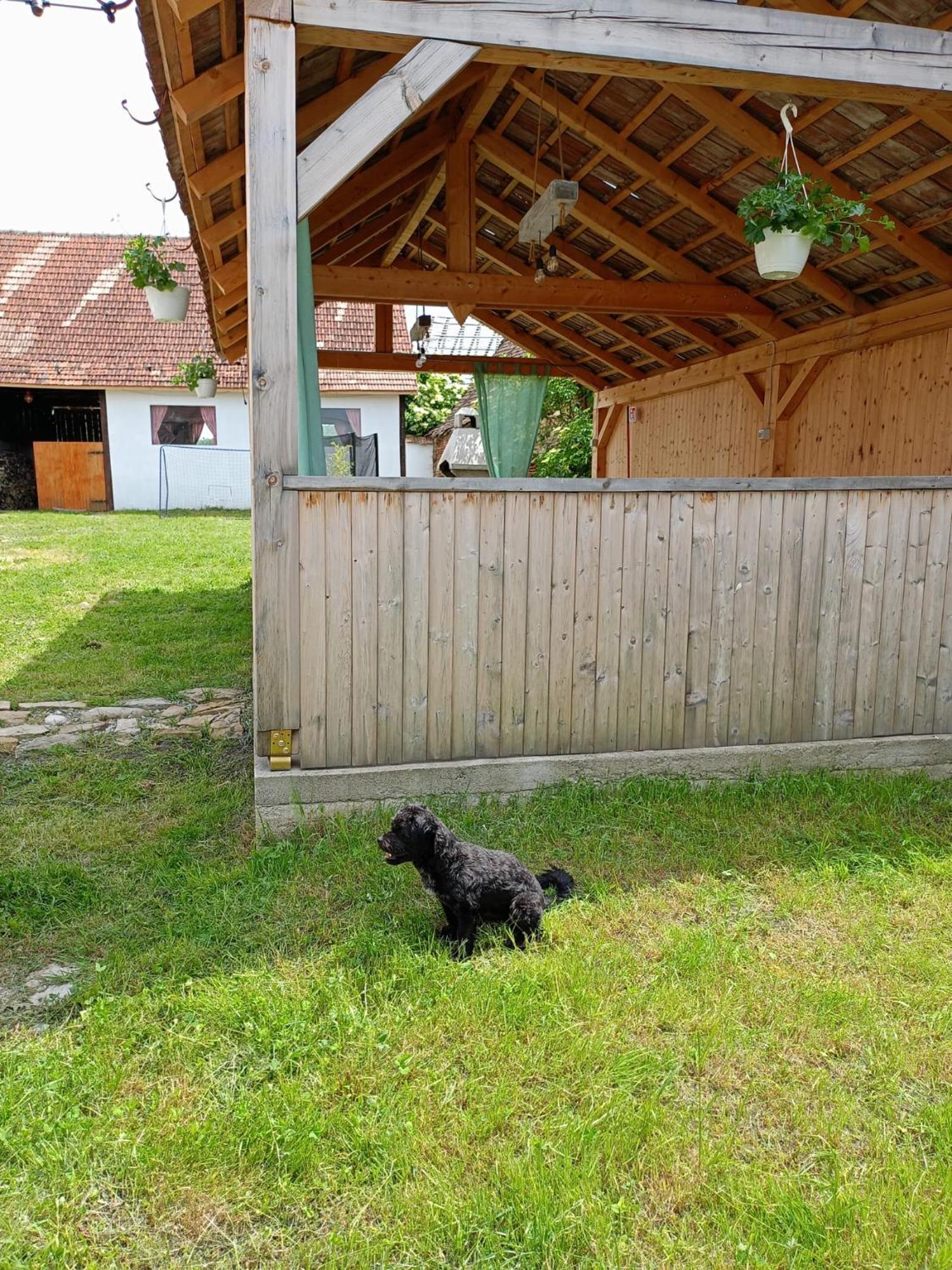 Chalet Giuel Barcut Esterno foto